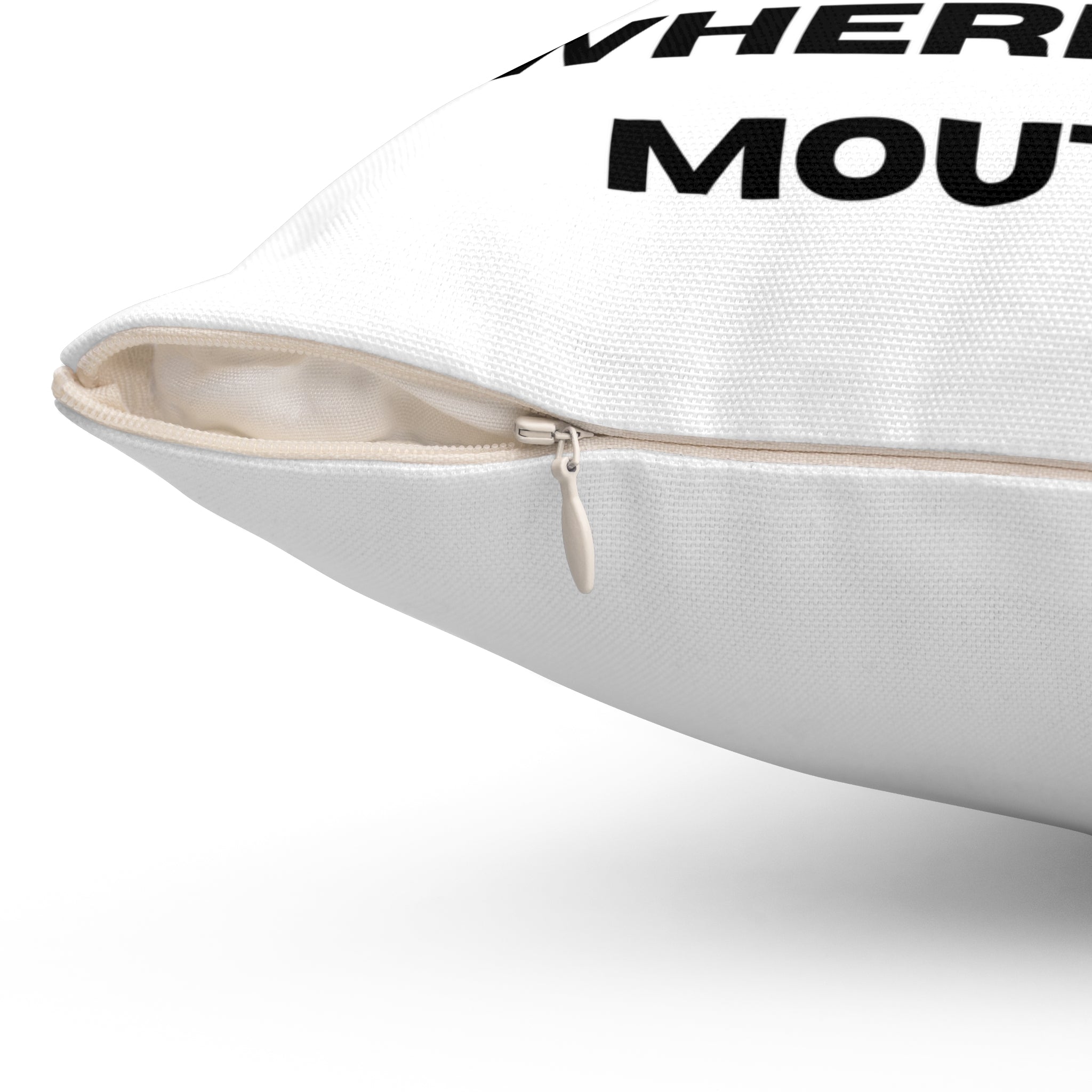 "Put your money where your mouth is" Square Pillow